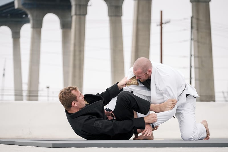 Martial Arts Fight